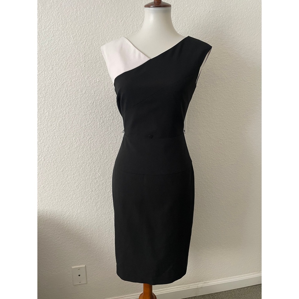 Calvin Klein Sheath Dress Women Sz 4 Colorblock Asymmetric Bodycon Corpcore